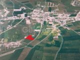 MUTLUYAKA 11.470 M2 İMARLI RESMİ YOLU MEVCUT