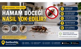 Hamam Böceği Nasıl Yok Edilir?