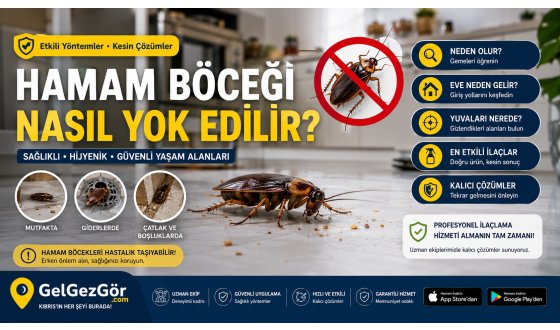 Hamam Böceği Nasıl Yok Edilir?