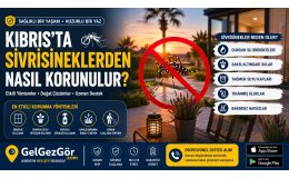 Kıbrıs'ta Sivrisineklerden Nasıl Korunulur?