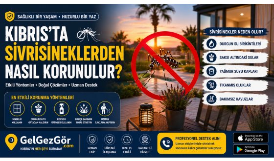 Kıbrıs'ta Sivrisineklerden Nasıl Korunulur?