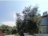 2+1 kiralik daire, Girne, Ozankoy