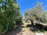 Girne Çatalköyde satılık lux 5+1 villa