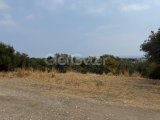 GİRNE KARŞIYAKA 1840 M2 GEÇİT İZİNLİ ARSA
