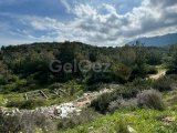 Girne Çatalköy'de Doğa Manzaralı Konut İmarlı Arsa - 3345 m² Satılık Fırsat!