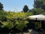 Girne Edremit'te, 6 Yatak Odalı Lüks Villa – Yüzme Havuzlu ve Doğa Manzaralı