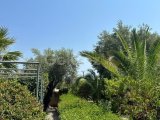 Girne Edremit'te, 6 Yatak Odalı Lüks Villa – Yüzme Havuzlu ve Doğa Manzaralı