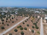 Girne Çatalköy'de Dağ Manzaralı 780 m² Konut İmarlı Arsa İmkanınızı Kaçırmayın!
