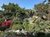 Girne Alsancak'ta Eşyalı, Dağ Manzaralı 1+1 Daire Satılık