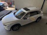 Mazda CX-8 25S Exclusive Pack.