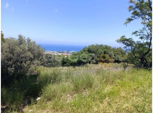 LAPTA BAŞPINAR’da MUHTEŞEM DENİZ MANZARALI İMARA AÇIK FIRSAT 875 m2 ARSA