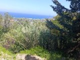 LAPTA BAŞPINAR’da MUHTEŞEM DENİZ MANZARALI İMARA AÇIK FIRSAT 875 m2 ARSA