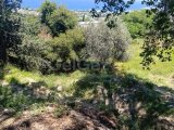 LAPTA BAŞPINAR’da MUHTEŞEM DENİZ MANZARALI İMARA AÇIK FIRSAT 875 m2 ARSA