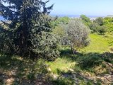 LAPTA BAŞPINAR’da MUHTEŞEM DENİZ MANZARALI İMARA AÇIK FIRSAT 875 m2 ARSA