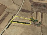 GİRNE AKDENİZ KÖYÜNDE TÜRK KOÇANLI 4288,70m2 SATILIK TARLA