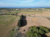 GİRNE AKDENİZ KÖYÜNDE TÜRK KOÇANLI 4288,70m2 SATILIK TARLA