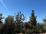 Girne karaagaçta satılık önü kesilmez deniz manzaralı arazi