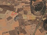 SKELE SAZLIKÖY’de 7875,07 m2 RESMİ YOLU OLAN SATILIK ARAZİ