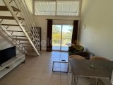 Girne Ozanköy’de kiralık 1 + 1 daire