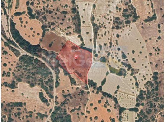 Büyükkonuk'ta Arazi