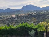 Girne Alagadi'de günlük kiralık 5 + 1 villa
