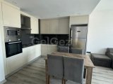 Girne merkezde kiralık lüks daire
