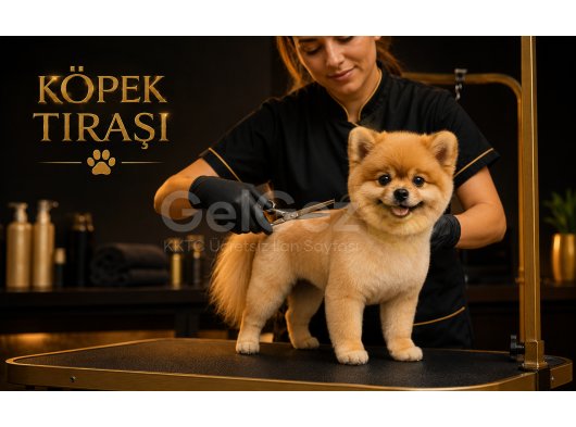 Köpek ve kedi tıraşı