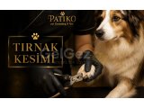 Tırnak kesimi