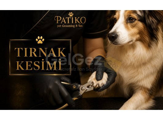 Tırnak kesimi
