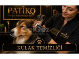 Kulak temizliği