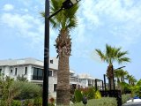 Lapta bölgesinde satılık yeni daire