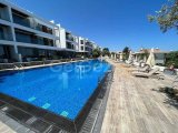 Alsancak bölgesinde satılık daire