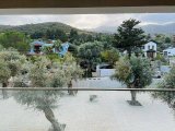 Alsancak bölgesinde satılık daire