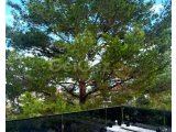 Çatalköy Bölgesinde Satılık Yeni ve Taşınmaya Hazır Villa