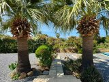 Karşıyaka bölgesinde satılık geniş arazili (2246 m2)villa!!