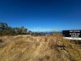 Alsancancakta satilik 1403m2 arsa