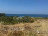Alsancancakta satilik 1403m2 arsa