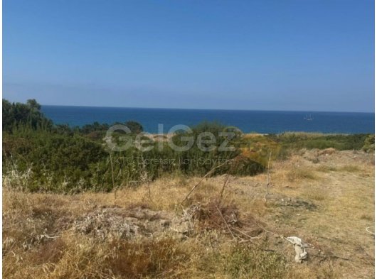 Alsancancakta satilik 1403m2 arsa
