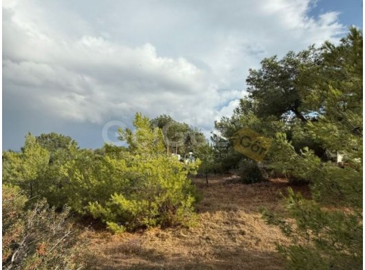 Alsancak Doğa parkı bölgesinde Eşdeğer koçanlı satılık 1900m2 arsa
