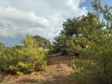 Alsancak Doğa parkı bölgesinde Eşdeğer koçanlı satılık 1900m2 arsa