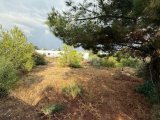 Alsancak Doğa parkı bölgesinde Eşdeğer koçanlı satılık 1900m2 arsa