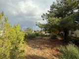 Alsancak Doğa parkı bölgesinde Eşdeğer koçanlı satılık 1900m2 arsa