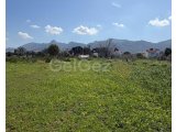 Girne/Çatalköyde satılık 4 dönüm 2 Evlek arazi