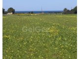 Girne/Çatalköyde satılık 4 dönüm 2 Evlek arazi