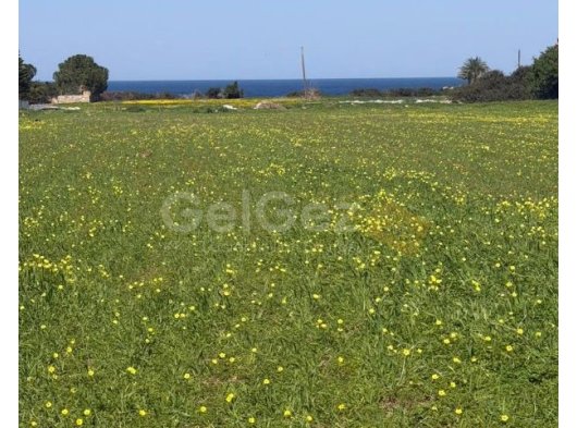 Girne/Çatalköyde satılık 4 dönüm 2 Evlek arazi