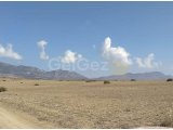 Girne/Dağyolu (fota)'da satılık tarımsal arazi