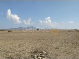 Girne/Dağyolu (fota)'da satılık tarımsal arazi