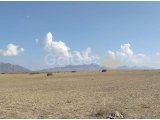 Girne/Dağyolu (fota)'da satılık tarımsal arazi