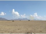 Girne/Dağyolu (fota)'da satılık tarımsal arazi