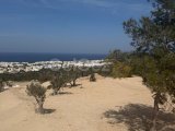 Girne/Esentepede satılık 1300m2 arsa